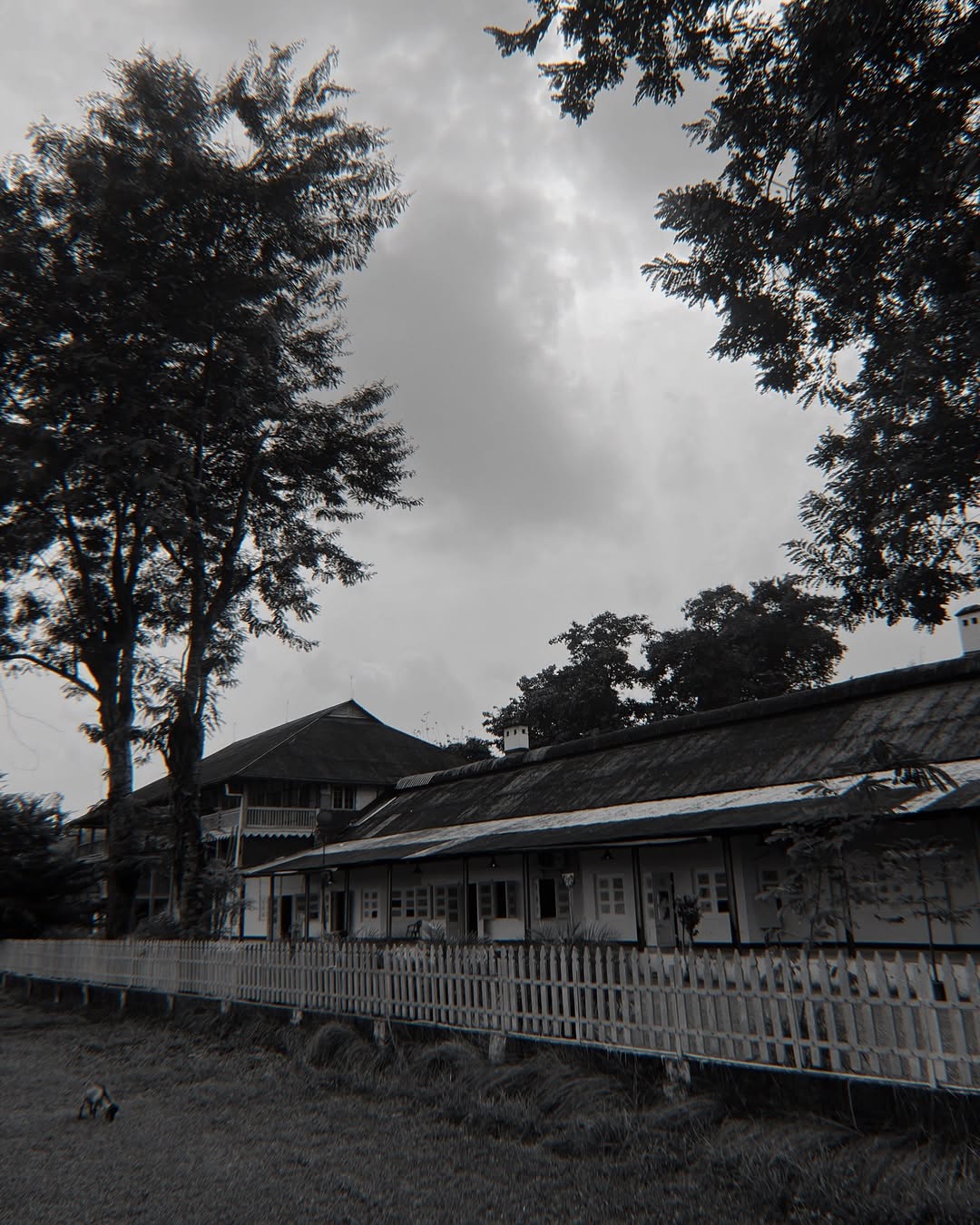 Exploring the dark history of haunted places in Assam with spooky tales and supernatural sightings.