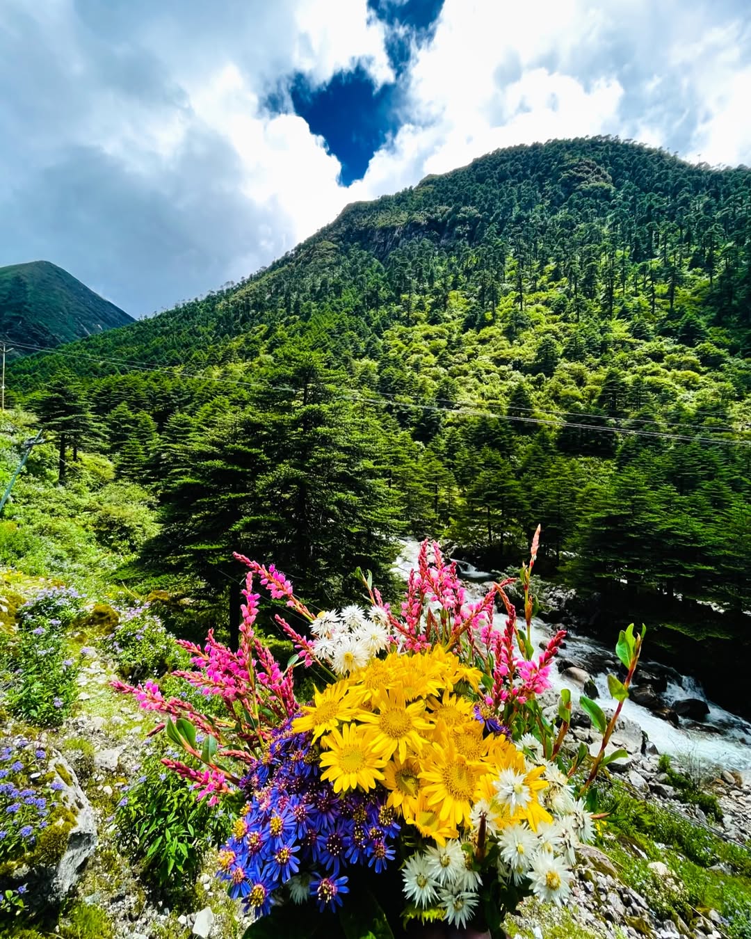 Sela Pass Adventure: A breathtaking panoramic view of the snowy landscapes and rugged terrain of Sela Pass in Arunachal Pradesh