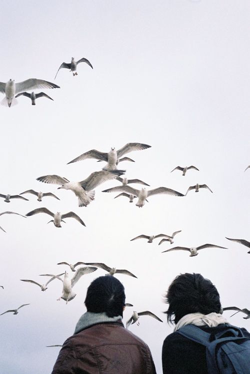 Birdwatching in Kaziranga National Park, showcasing the rich birdlife as part of Kaziranga National Park tourism