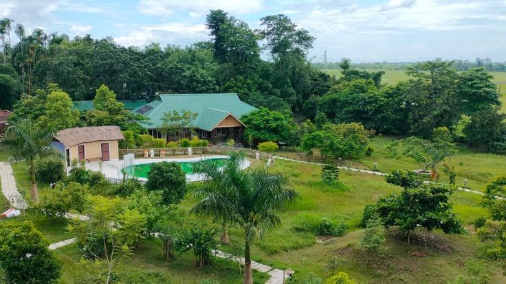 Tourists enjoying the view of the rhino sanctuary in Kaziranga National Park, a must-see spot in Kaziranga National Park tourism.