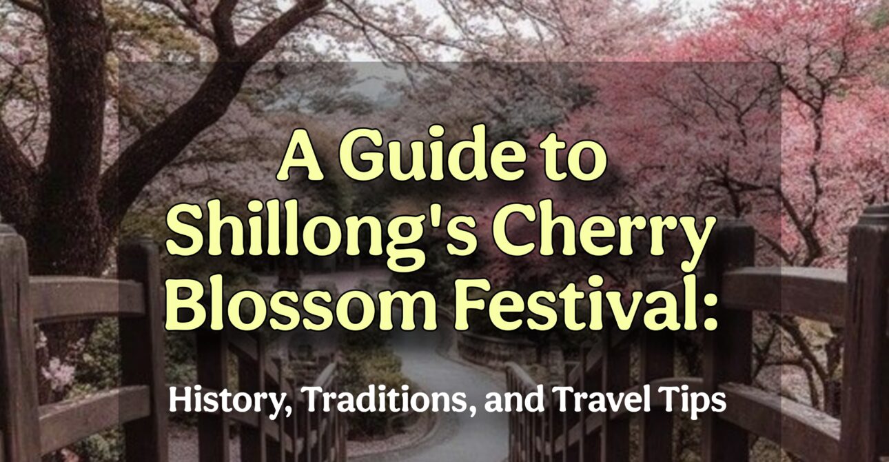 A Guide to Shillong’s Cherry Blossom Festival: History, Traditions, and Travel Tips