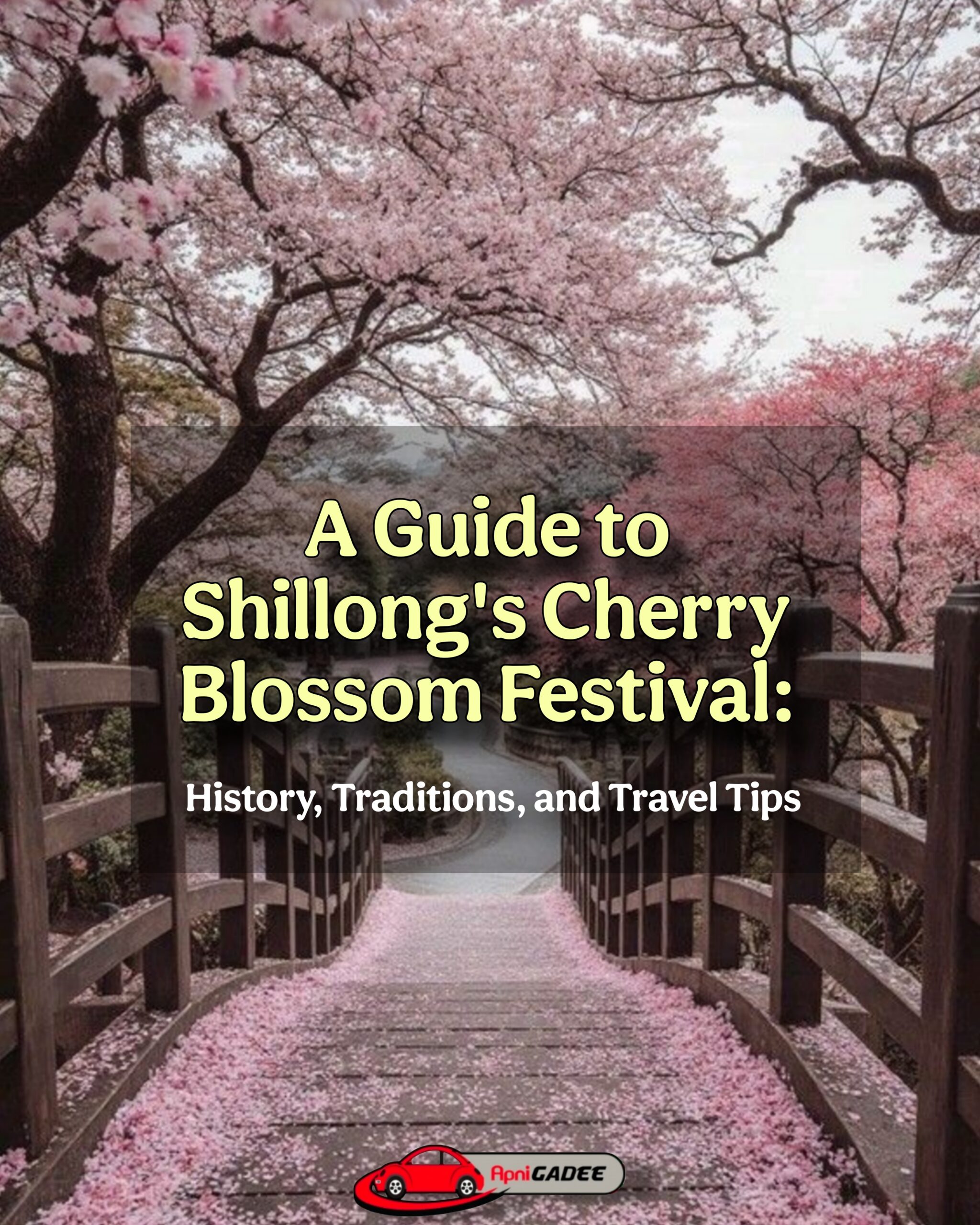 Cherry Blossom Festival in Shillong showcasing vibrant pink blooms and cultural festivities
