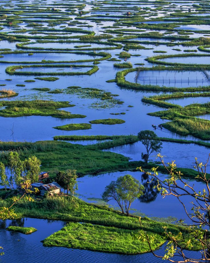 Phumdis (floating islands) on Loktak Lake, Northeast India, with scenic landscapes and local fishing communities