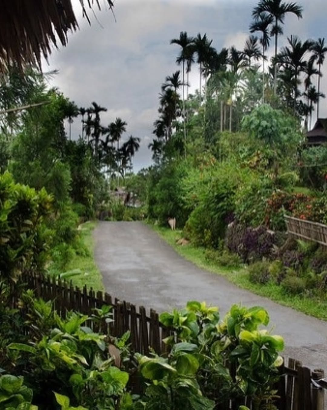 Spotlessly clean street in Mawlynnong, Asia's Cleanest Village, with bamboo dustbins and vibrant greenery
