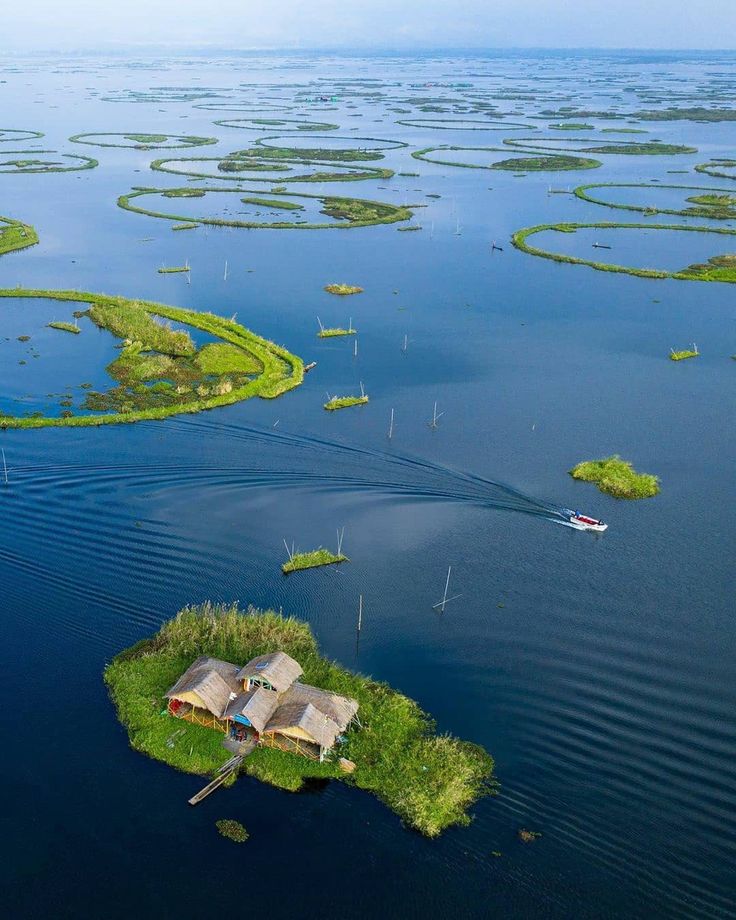 Keibul Lamjao National Park in Loktak Lake, home to the endangered Sangai deer